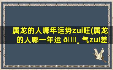 属龙的人哪年运势zui
旺(属龙的人哪一年运 🌸 气zui
差 🐦 )